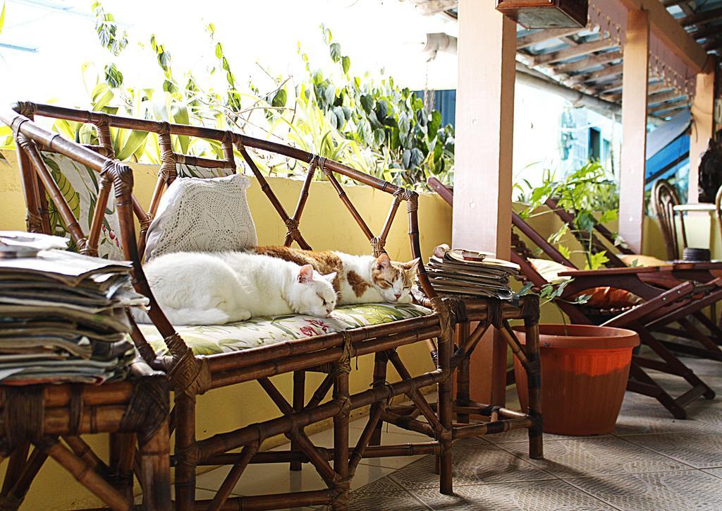 Inn Solstício De Verão Trindade (Rio de Janeiro)